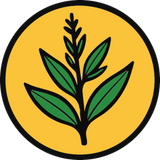 Andrographis Paniculata Extract